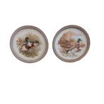 Wandbord, verzamel wandbord Silberdistel, Rhenania Alt, Antiek en Kunst, Ophalen of Verzenden