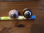 2 mooie kastgreep/ knoppen. Nieuw. 1 koop., Ophalen of Verzenden, Nieuw