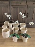 Serie bloempotten voor binnen, Huis en Inrichting, Ophalen, Steen, Gebruikt, Wit