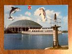 Dolfinarium Harderwijk met rondvaartboot., Ophalen of Verzenden, 1960 tot 1980, Gelopen, Gelderland