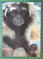 Zwartkoplar, gibbon., Ophalen of Verzenden, 1980 tot heden, Ongelopen, Wild dier