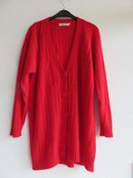 Mireille oversized lang gebreid vest van lamswol maat 38, Kleding | Dames, Truien en Vesten, Maat 38/40 (M), Mireille, Ophalen of Verzenden
