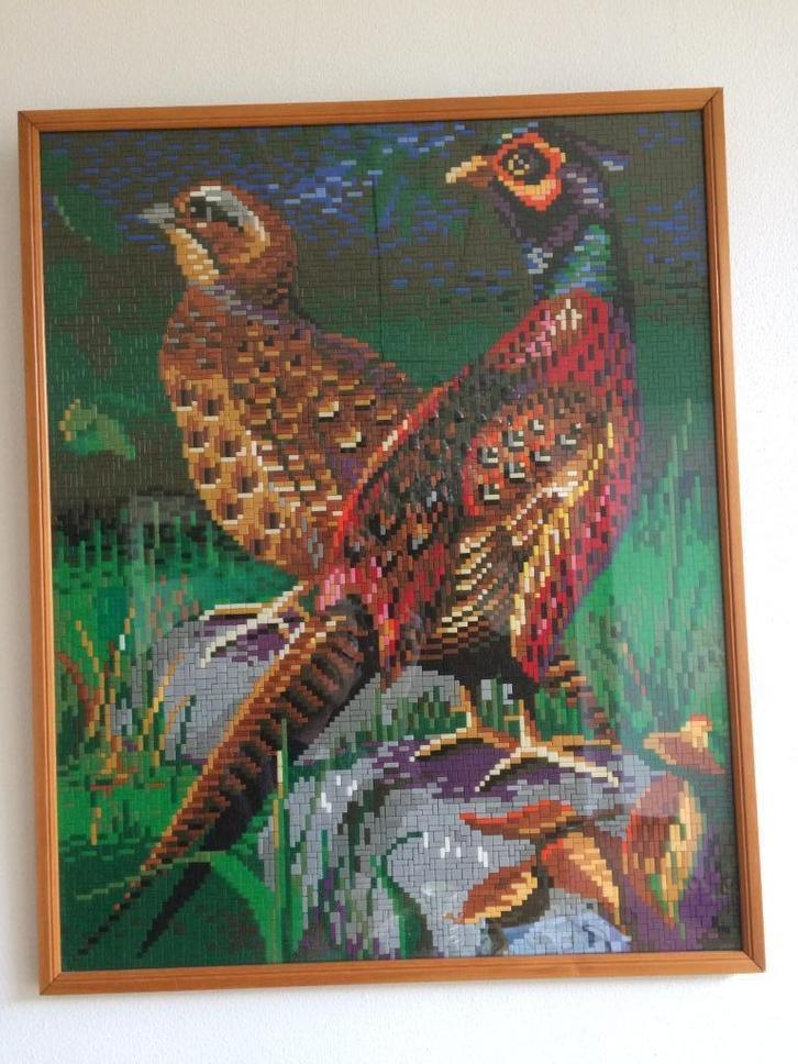 Ministeck fazanten fazant kleurrijk paradijsvogel schilderij, Huis en Inrichting, Woonaccessoires | Schilderijen, Tekeningen en Foto's