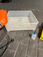 Broedmachine volautomatisch, Geslacht onbekend, Kip