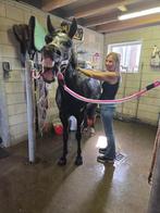 Ontspanningsmassage voor paarden, Ophalen of Verzenden, Nieuw, Overige soorten