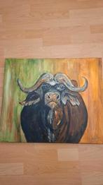 Waterbuffel, Ophalen