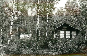 (388-413-003) Doorn Het Grote Bos beschikbaar voor biedingen