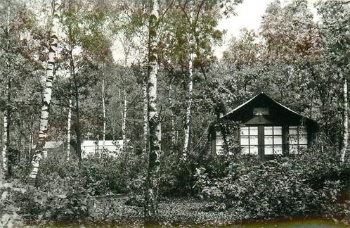 (388-413-003) Doorn Het Grote Bos, Verzamelen, Ansichtkaarten | Nederland, Utrecht, Verzenden