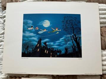 Mooie Disney print Peter Pan : € 15,00 beschikbaar voor biedingen