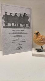 Meeuse, Ds. C.J.; Een genadige dood?, Ophalen of Verzenden, Gelezen, Christendom | Protestants