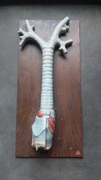 Somso gipsen Anatomisch Model - Larynx & Trachea (1930-1960), Ophalen of Verzenden