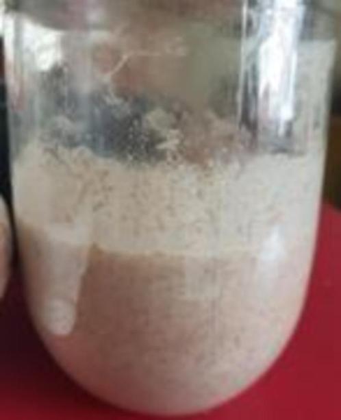 Zuurdesem starter rogge Biologisch ruim 2jr actief   100gram, Diversen, Levensmiddelen, Ophalen
