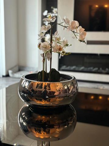 Opgemaakte pot met kunst orchidee beschikbaar voor biedingen