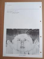 Joos Lensink Zwolle Documentatieblad jaren 70, Antiek en Kunst, Kunst | Tekeningen en Foto's, Ophalen of Verzenden