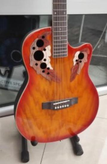 fazley semi akoestische gitaar[complete set] beschikbaar voor biedingen