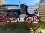 Wagonette, Zo goed als nieuw, Wagonette, Paard