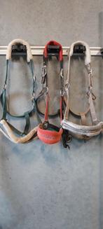 Halsters en halstertouwen full, Dieren en Toebehoren, Ophalen of Verzenden, Gebruikt, Overige soorten