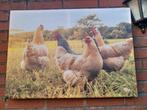 Buiten canvas kippen, Huis en Inrichting, Woonaccessoires | Schilderijen, Tekeningen en Foto's, Ophalen of Verzenden, Zo goed als nieuw