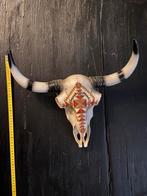 Buffel waterbuffel schedel, Verzamelen, Dierenverzamelingen, Ophalen of Verzenden, Zo goed als nieuw, Schedel