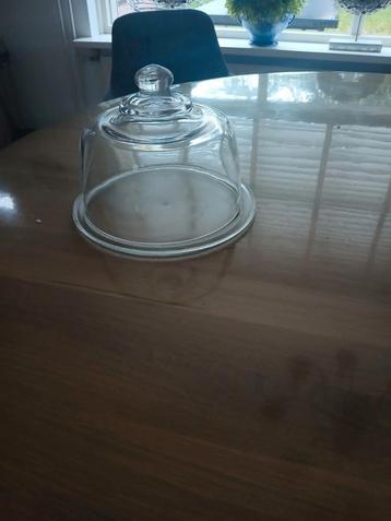 Glazen stolp  beschikbaar voor biedingen