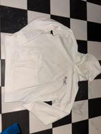 Abercrobie & fitch witte hoody L, Maat 52/54 (L), Wit, Ophalen of Verzenden, Abercrombie & Fitch