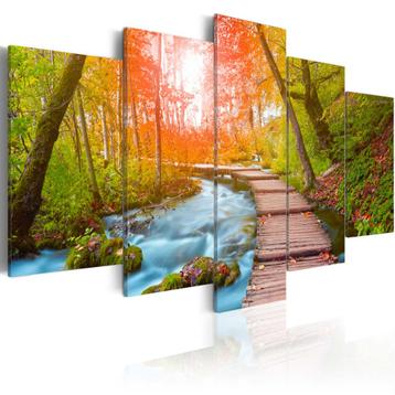 455 Natuur Bomen Pad XXL 5 Luik Canvas Schilderij 200x100cm beschikbaar voor biedingen