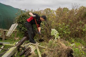 Tuinonderhoud, snoeien, hagen afzetten