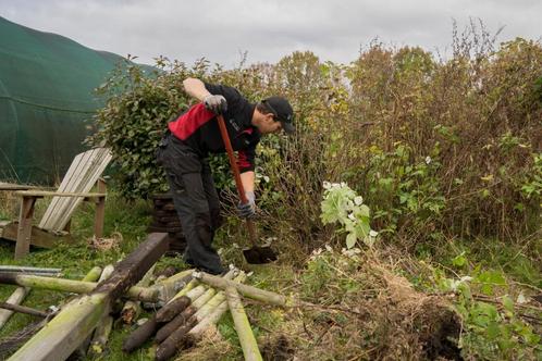 Tuinonderhoud, snoeien, hagen afzetten, Diensten en Vakmensen, Tuinmannen en Stratenmakers, Tuinonderhoud of Snoeiwerk