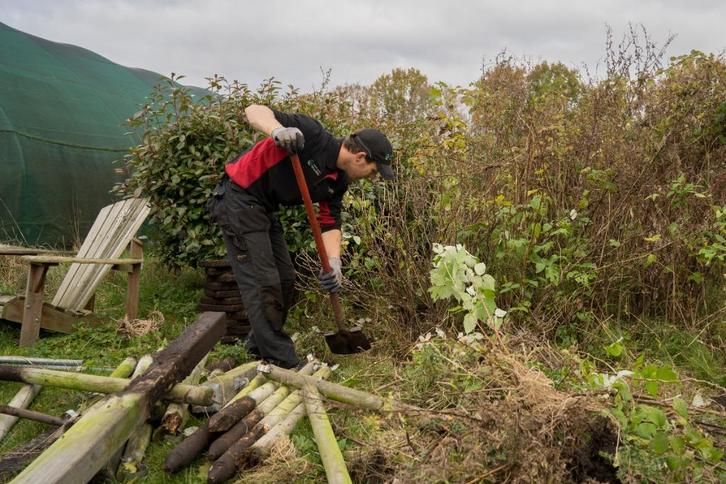 Tuinonderhoud, snoeien, hagen afzetten, Diensten en Vakmensen, Tuinmannen en Stratenmakers, Tuinonderhoud of Snoeiwerk