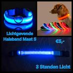 Nieuwe Lichtgevende Halsband Blauw Maat S, Ophalen of Verzenden, Verlicht, Nieuw