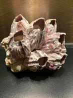 Zeepokken op steen, Ophalen of Verzenden, Nieuw