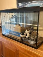 Aquarium + pomp en toebehoren, Ophalen, Gebruikt, Leeg aquarium