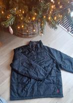 Nautica winterjas, Kleding | Heren, Bodywarmers, Ophalen of Verzenden, Zo goed als nieuw