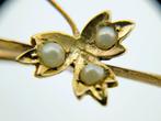 Gouden broche met natuurlijke zoutwaterparels, 4 tot 7 cm, Gebruikt, Info@zilverwebsite.nl, Verzenden