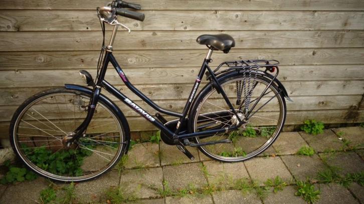 batavus holidy, Fietsen en Brommers, Fietsen | Dames | Damesfietsen, Zo goed als nieuw, Batavus, Versnellingen, 56 cm of meer