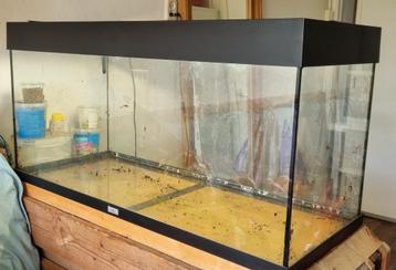 Aquarium terrarium beschikbaar voor biedingen