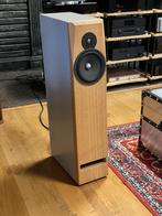 LexiCone Acoustics Syntagma A2, Audio, Tv en Foto, Luidsprekers, Ophalen, Gebruikt, Front, Rear of Stereo speakers, Overige merken