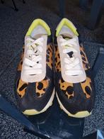 Sneakers nieuw, lime kleur en tijgerharen print maat 37, Gioseppo, Ophalen of Verzenden, Nieuw