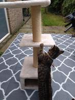 Krabpaal 93cm gratis op te halen, Dieren en Toebehoren, Krabmeubelen, Ophalen, Gebruikt, Krabpaal