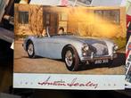 Austin Healey 100 Brochure, Ophalen, Zo goed als nieuw, Overige merken