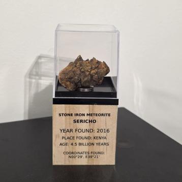 Sericho Meteoriet op standaard beschikbaar voor biedingen