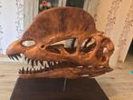 Dilophosaurus replica schedel / dinosaurus, Ophalen of Verzenden, Fossiel