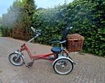 Electrische easy rider driewiel Fiets, Ophalen, Zo goed als nieuw, Van Raam Easy Rider