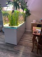 Aqurium optiwhite glazen 200x65x75cm full set, Dieren en Toebehoren, Vissen | Aquaria en Toebehoren, Ophalen of Verzenden, Zo goed als nieuw