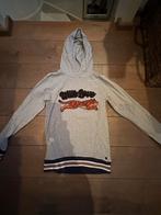 Vingino grijze hoodie met tijger - maat 176, Verzenden, Zo goed als nieuw, Meisje, Trui of Vest