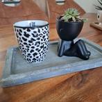 Sojakaars en succulentenset, Overige materialen, Zwart, Nieuw, Ophalen of Verzenden