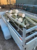 Ruim een cub vers wilgenhout kachelhout openhaardhout, Minder dan 3 m³, Ophalen of Verzenden, Overige houtsoorten, Stammen