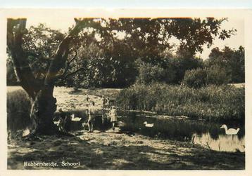 (388-091-023) Schoorl Robbersheidje beschikbaar voor biedingen