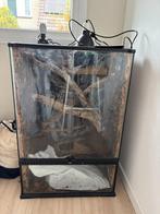 Exo Terra Terrarium 60x45x90 + lampen & rainmaker, Dieren en Toebehoren, Reptielen en Amfibieën | Toebehoren, Ophalen, Gebruikt