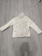 Creenstone winterjas maat 40, Kleding | Dames, Maat 38/40 (M), Beige, Creenstone, Ophalen of Verzenden